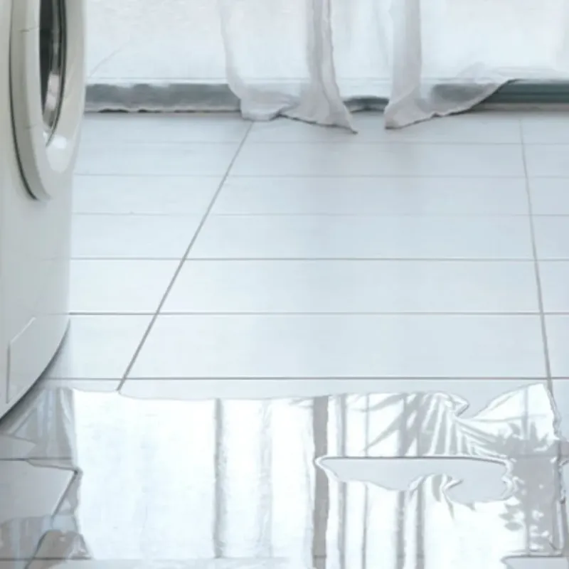 Appliance Leak Cleanup in Douglas County, CO